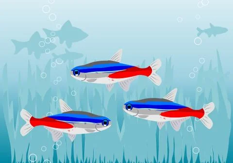 Fishes Stock Illustration
