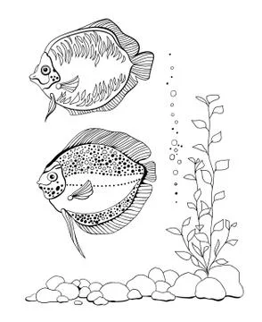 Fishes Stock Illustration