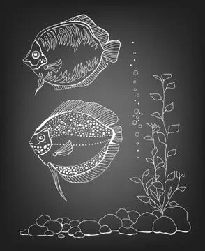 Fishes Stock Illustration