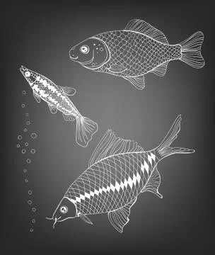 Fishes Stock Illustration