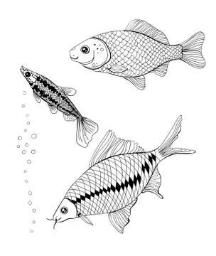 Fishes Stock Illustration