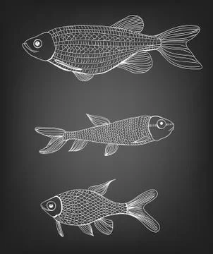 Fishes Illustrazione stock