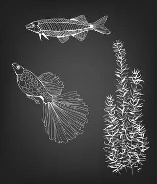 Fishes Stock Illustration