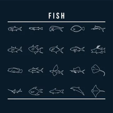 Fishes Stock Illustration