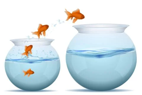 Fishes jumping from water Illustrazione stock