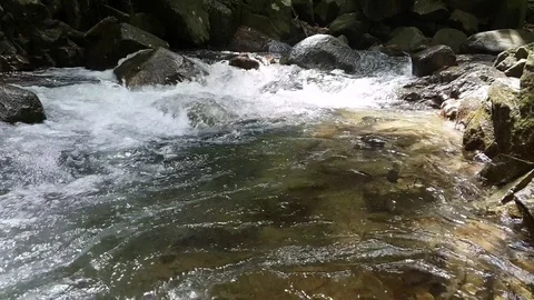 Fishes in the river that flows from the waterfall. River in the mountains. Stock Footage 79474218