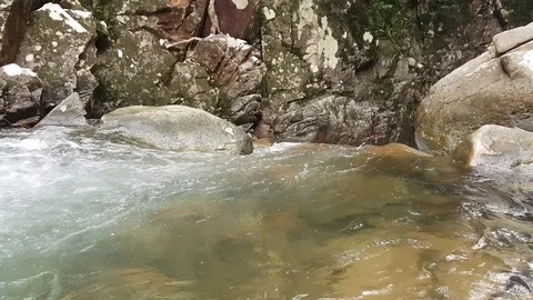 Fishes in the river that flows from the waterfall. River in the mountains. Stock Footage 79474326