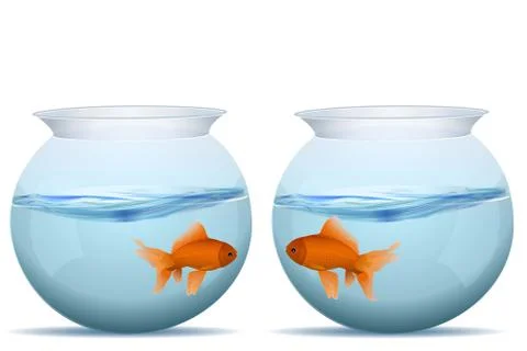 Fishes in tanks Stock Illustration