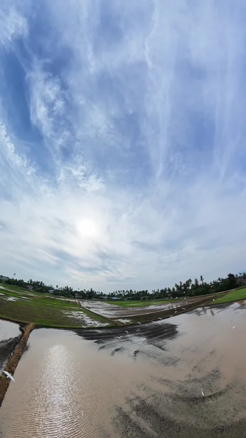 Fisheye lens captures expansive sky above muddy fields Stock Footage 345408279