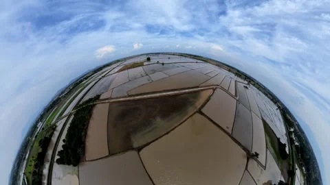 Fisheye lens captures vast rice paddies under blue sky Video stock 345394872