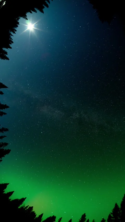 Fisheye time lapse star filled night sky with Milky Way, moon and Aurora. tress Stock Footage 291489714