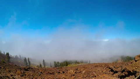 Fisheye Timelapse Cloud Waves Surging Over Lava Field Pine Forest Tenerife 4K Stock Footage 335765075