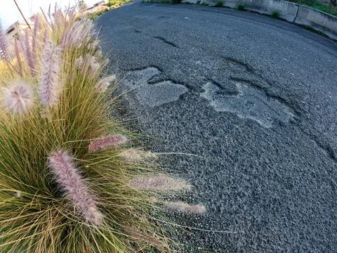 Fisheye View Of Large Pothole Damage In Urban Street Asphalt With Wild Grass Stock Photos