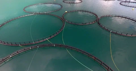 Fishfarm in Norway closeup Stockbeeldmateriaal 70118528