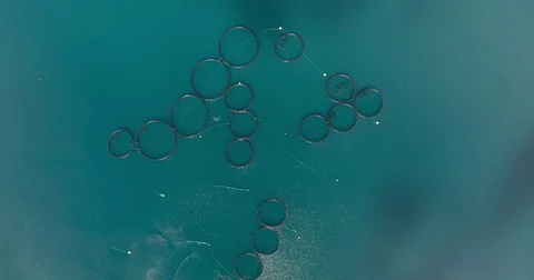 Fishfarm in Norway Stockbeeldmateriaal 70115100
