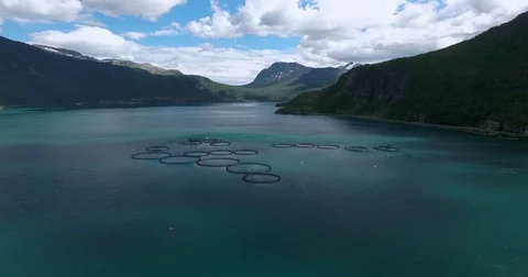 Fishfarm in Norway Stockbeeldmateriaal 70119539