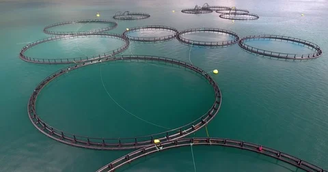 Fishfarm in Norway Stockbeeldmateriaal 70121691