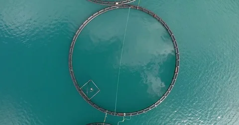 Fishfarm in Norway Stockbeeldmateriaal 70122242