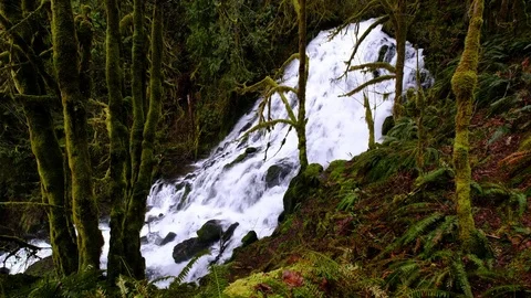 Fishhawk Falls, Clatsop State Forest, Oregon Stock Footage 74240681