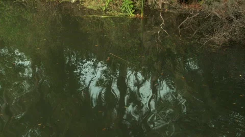 Fishing 02 Stock Footage 355575