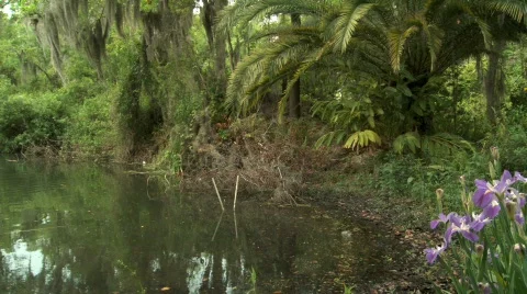 Fishing 09 Stock Footage 356261