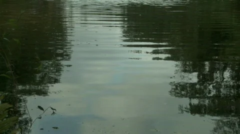 Fishing 11 Stock Footage 356307