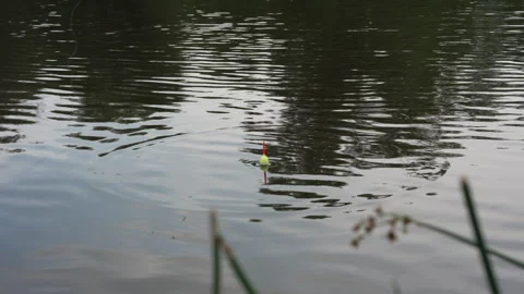 Fishing action: Bobber bite and successful catch of a small fish Vídeo Stock 338120211