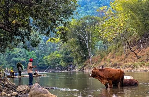Fishing activities Foto stock