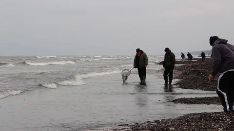 Fishing for amber Stock Footage 81836581