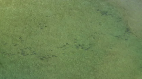 Fishing and Boating 스톡 동영상 218413102