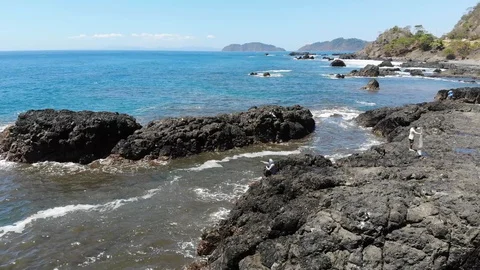 Fishing and emptying nets Stock Footage 127601163