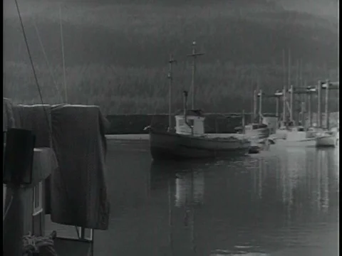 Fishing and fish processing in Alaska in 1951. Stock Footage 75330860