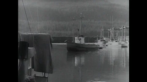 Fishing and fish processing in Alaska in 1951. Stock Footage 118835920