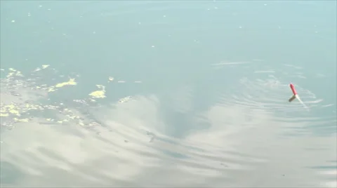 Fishing Angle In A Beautiful Lake, With Reflection Of Clouds, Nature, Summer Pan Stock Footage 40466701