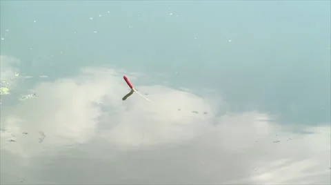 Fishing Angle In A Beautiful Lake, With Reflection Of Clouds, Nature, Summer Stock Footage 40466703