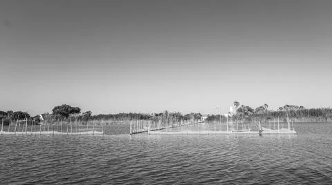 Fishing areas with nets inside the water in a lagoon. Stock Photos