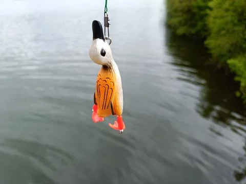 Fishing with artificial bait Stock Photos