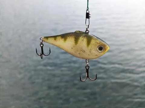 Fishing with artificial bait Stock Photos