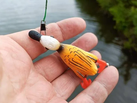 Fishing with artificial bait Stock Photos