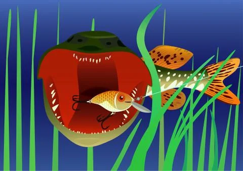 Fishing for bait. Stock Illustration
