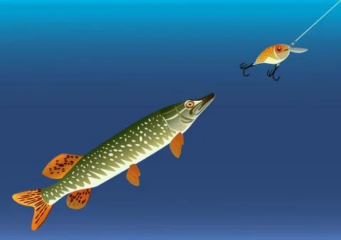 Fishing for bait. Stock Illustration