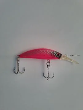 Fishing bait or often called minnow. Stock Photos
