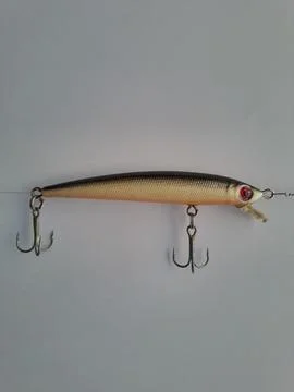 Fishing bait or often called minnow. Stock Photos