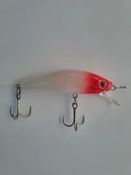 Fishing bait or often called minnow. Stock Photos