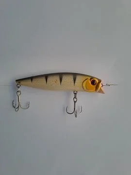 Fishing bait or often called minnow. Stock Photos