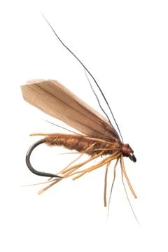 Fishing bait Foto stock