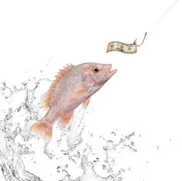 Fishing bait Stock Photos