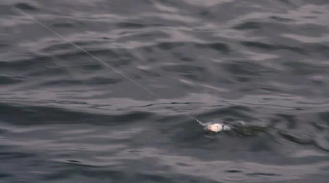 Fishing bait on the river 库存影片 44672760