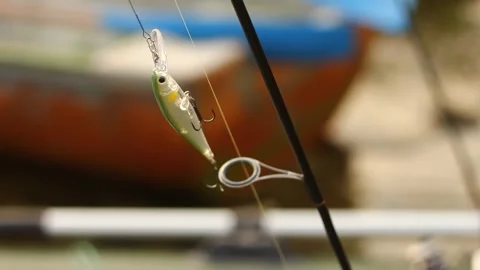 Fishing Bait On A Rod Stock Footage 234798825