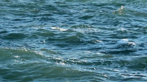 Fishing balance Stock Footage 20571334